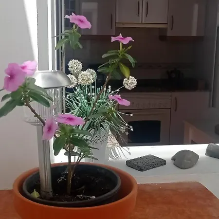 아파트 Gaviota Relax *