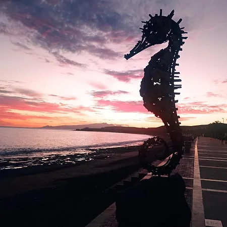 Gaviota Relax 타라할레호